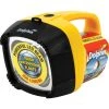 Eveready Dolphin Torch - 4 LED, 6 Volt