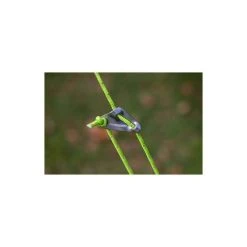 Zempire Tough Guy Guy Rope 4 Pack -Skeeter Hawk Shop BCF 643805 02 hi res