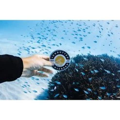 SunButter SPF50 Reef Safe Original Sunscreen 100g -Skeeter Hawk Shop BCF 653332 05 hi res